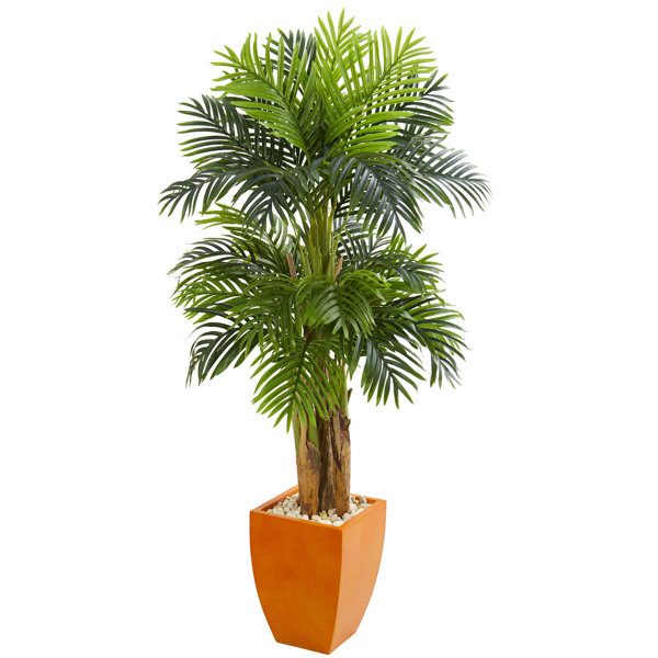Bay Isle Home 66'' Artificial Palm Tree in Planter Wayfair